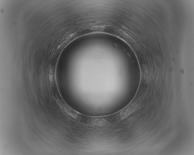 X0000073911154200608111150