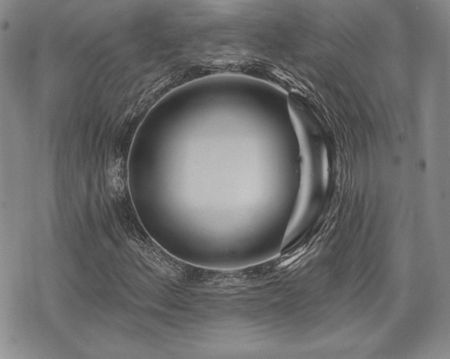 X0000073911156200608111150