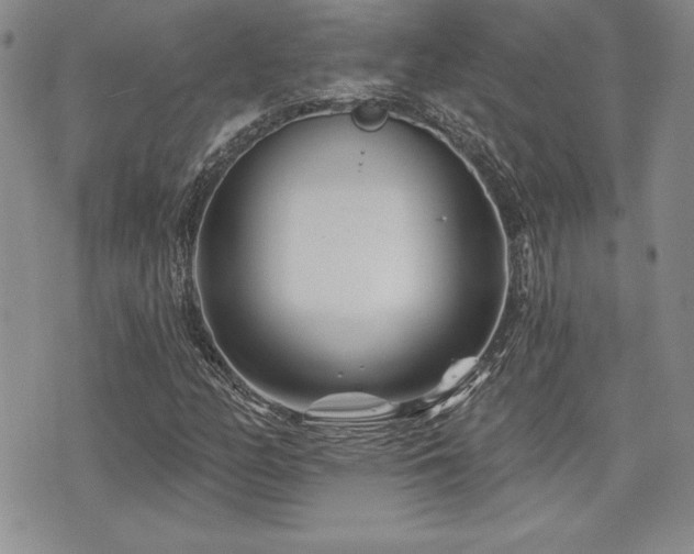 X0000073911158200608111150