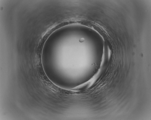 X0000073911160200608111150