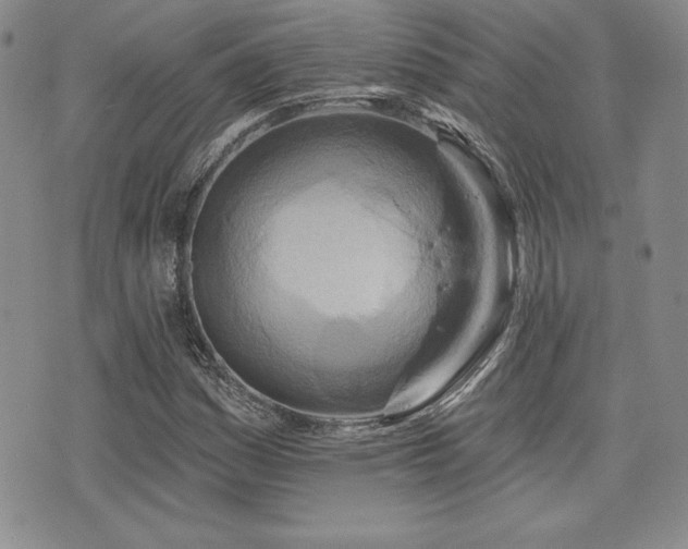 X0000073911161200608111150