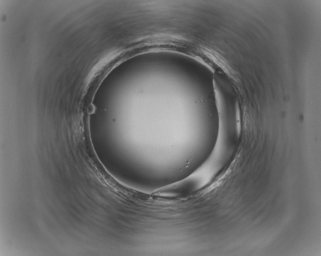 X0000073911164200608111150