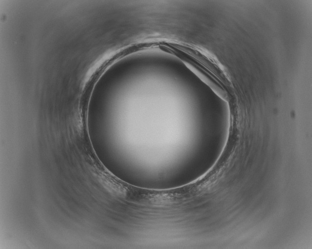 X0000073911167200608111150