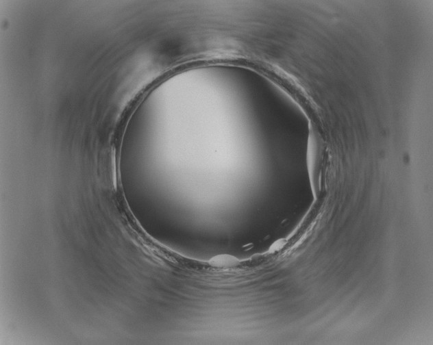 X0000073911171200608111150