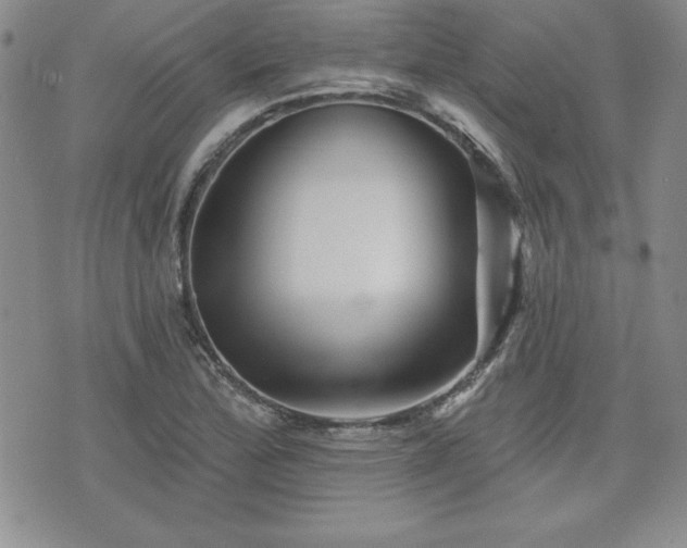 X0000073911172200608111150