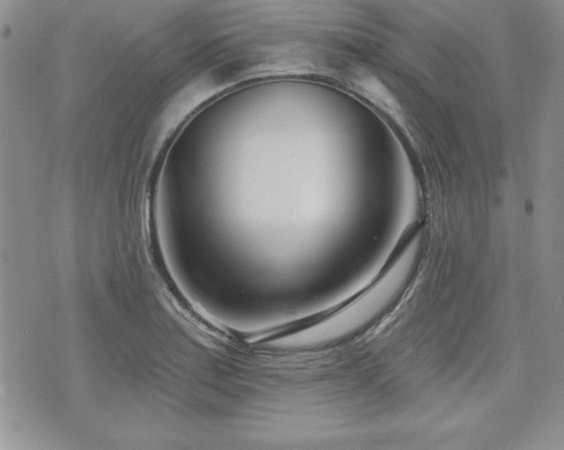 X0000073911179200608111150