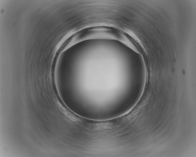 X0000073911181200608111150