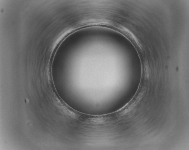 X0000073911182200608111150