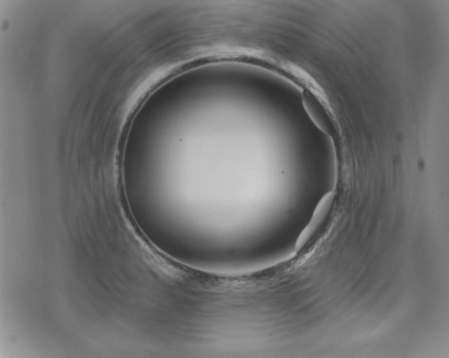 X0000073911183200608111150