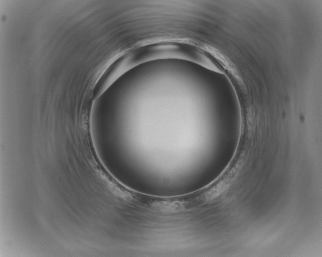 X0000073911185200608111150