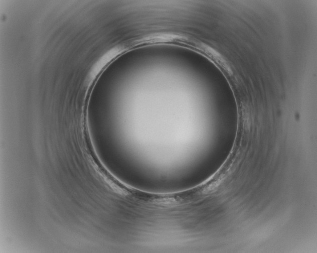X0000073911186200608111150
