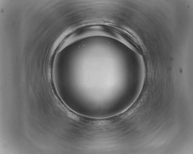 X0000073911188200608111150