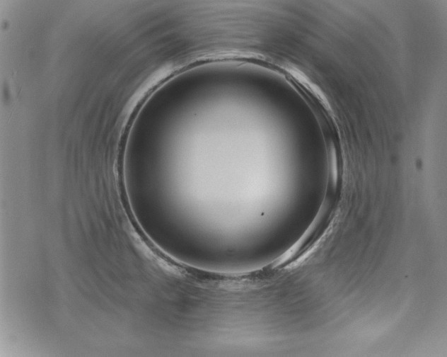 X0000073911189200608111150