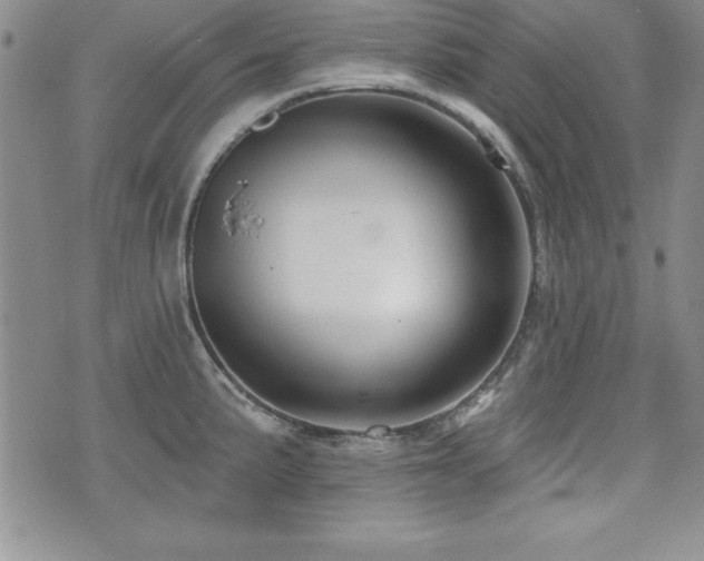 X0000073911191200608111150