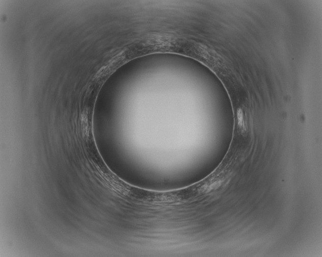 X0000073911203200608111149