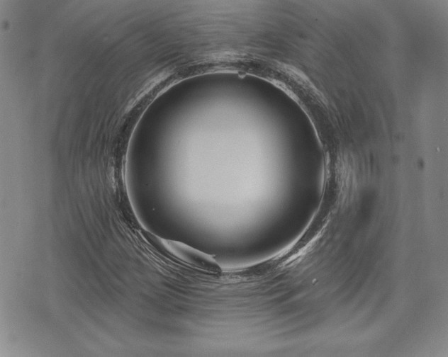 X0000073911209200608111149