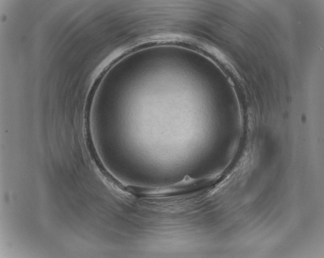 X0000073911229200608111149