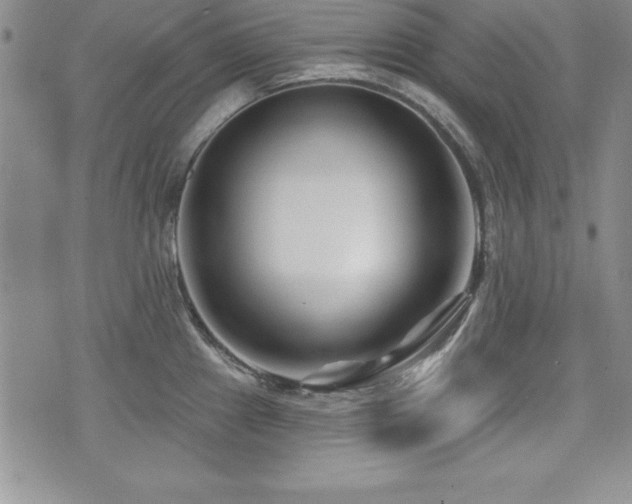 X0000073911241200608111149