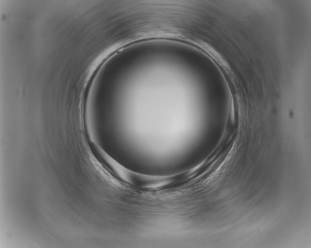 X0000073911246200608111149