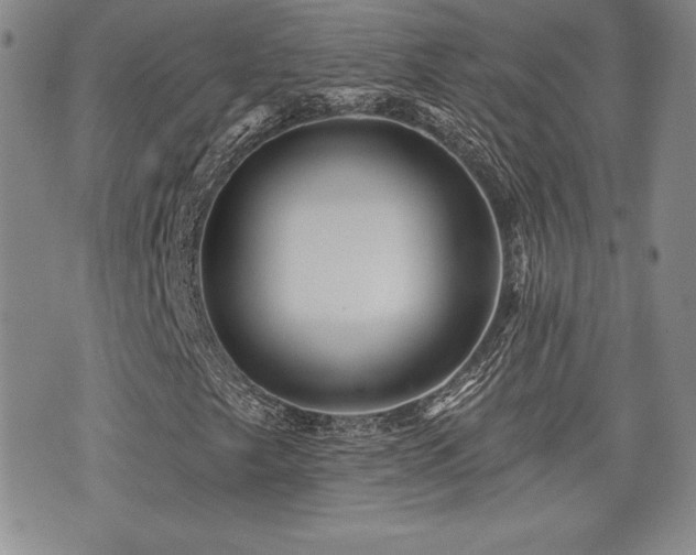 X0000073911249200608111149