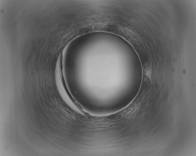 X0000073911252200608111149