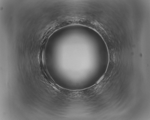 X0000073911253200608111149