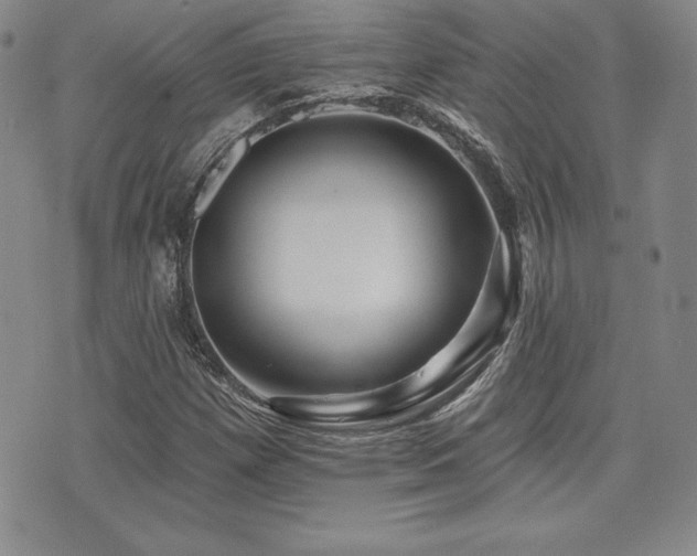 X0000073911257200608111148