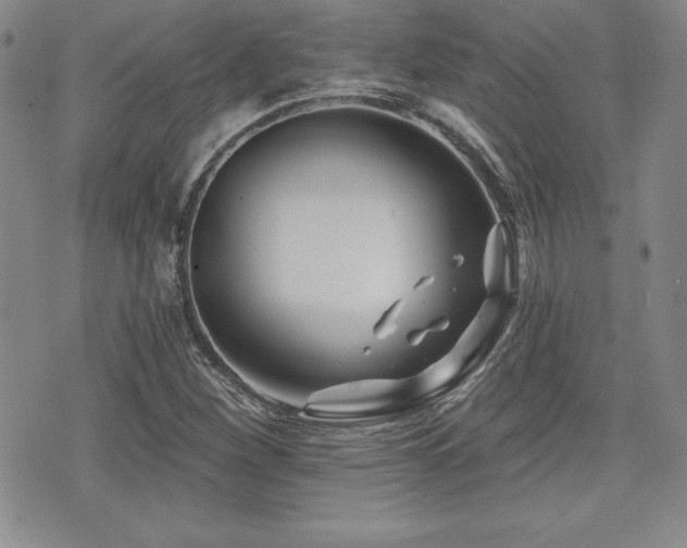 X0000073911260200608111148