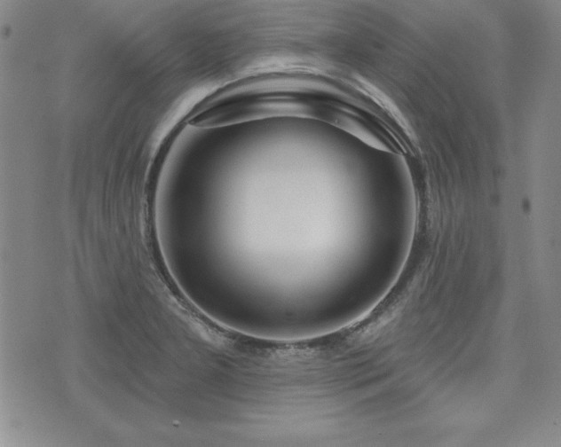 X0000073911277200608111148