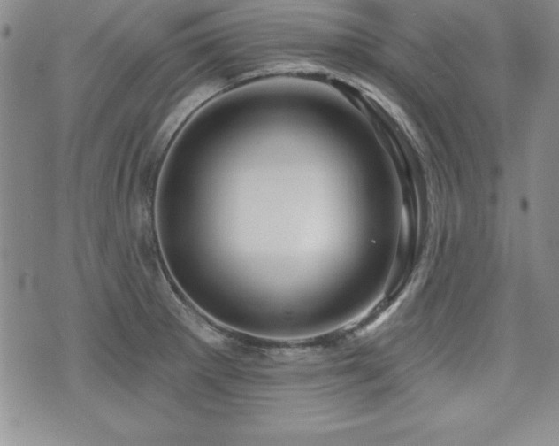 X0000073911281200608111148