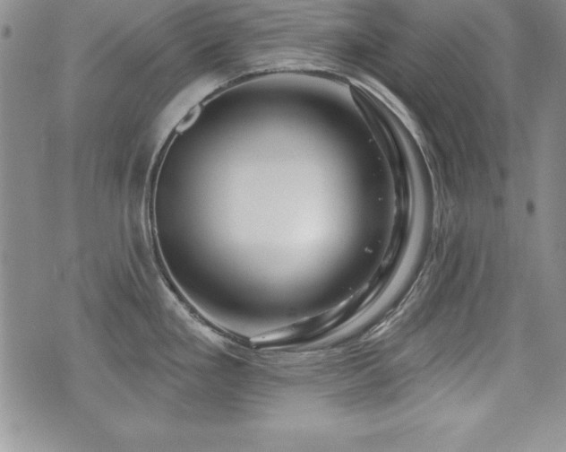 X0000073911293200608111148