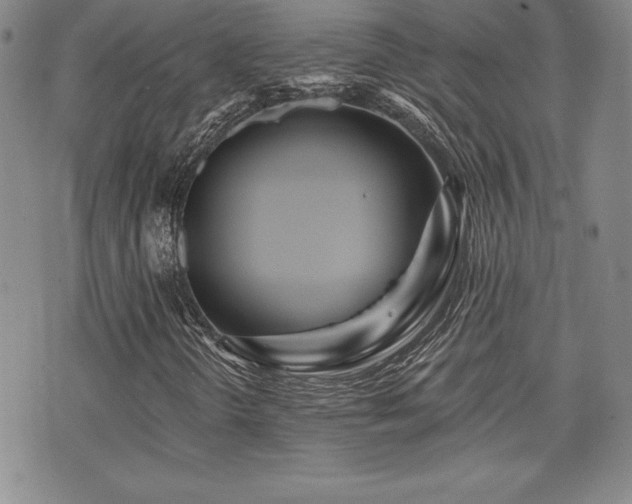 X0000073911298200608111147