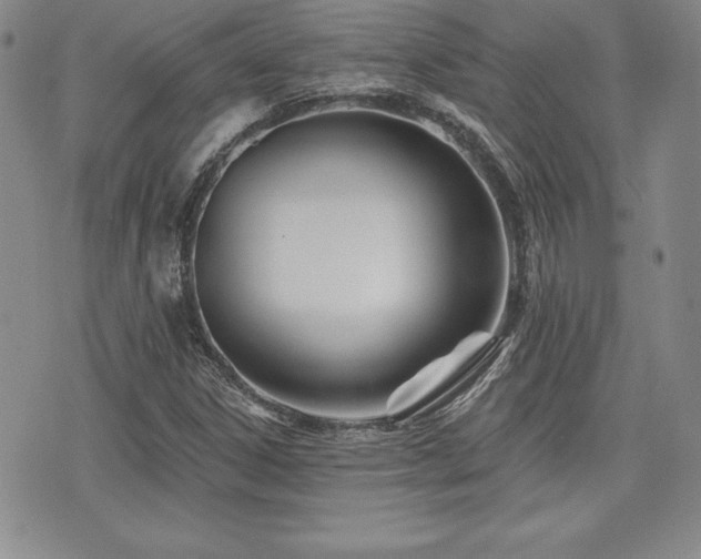 X0000073911306200608111147
