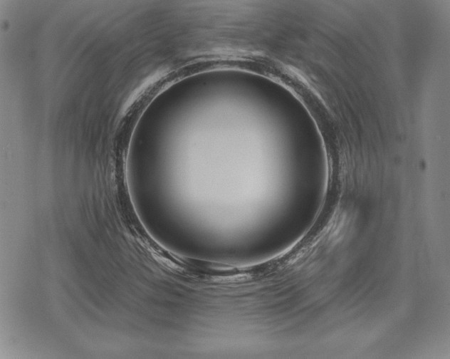 X0000073911307200608111147