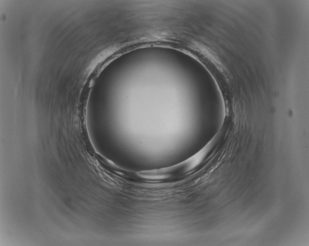 X0000073911308200608111147