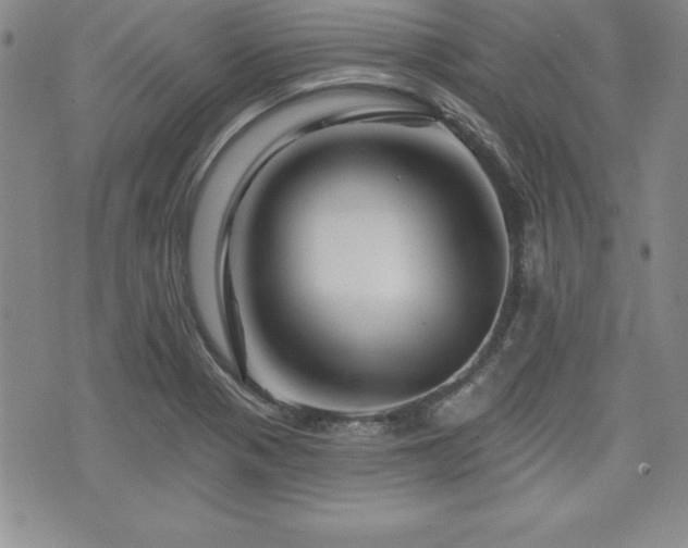 X0000073911321200608111147