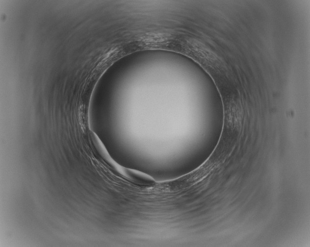 X0000073911346200608111147