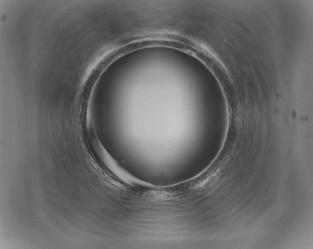 X0000073911360200608111147