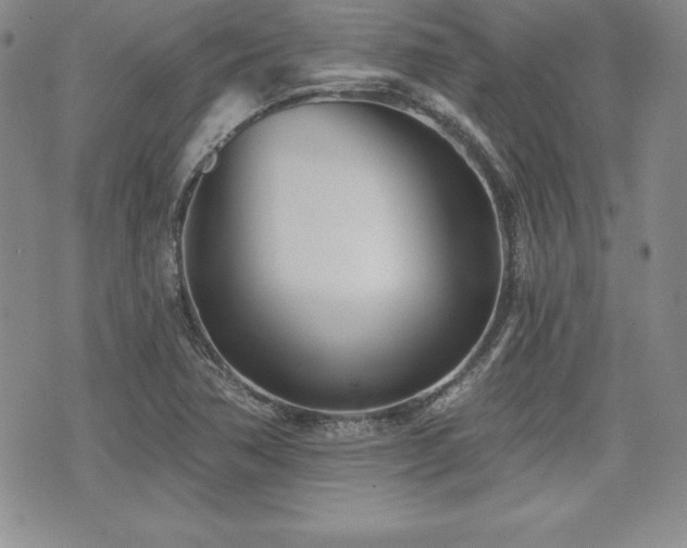 X0000073911362200608111147