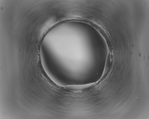 X0000073911363200608111147