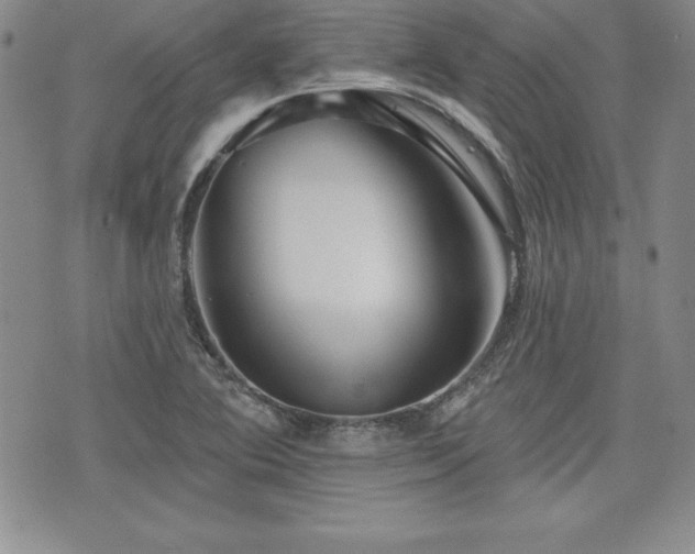 X0000073911364200608111147