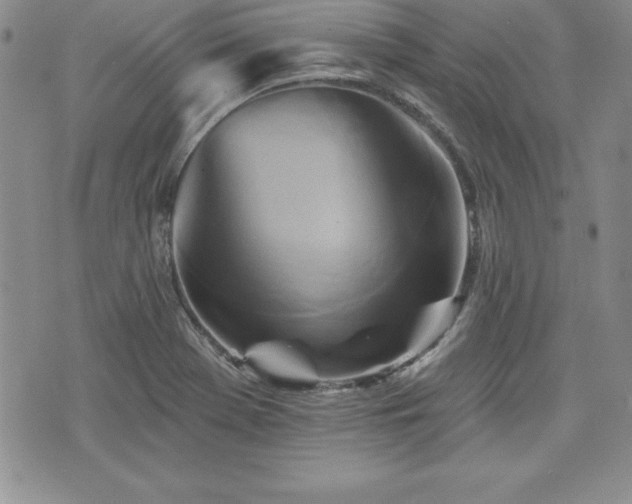 X0000073911369200608111147