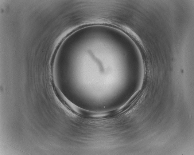 X0000073911380200608111146