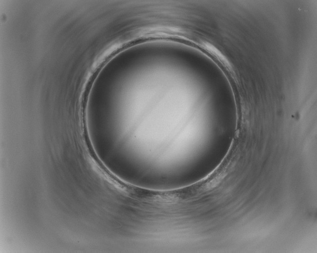 X0000073911384200608111146