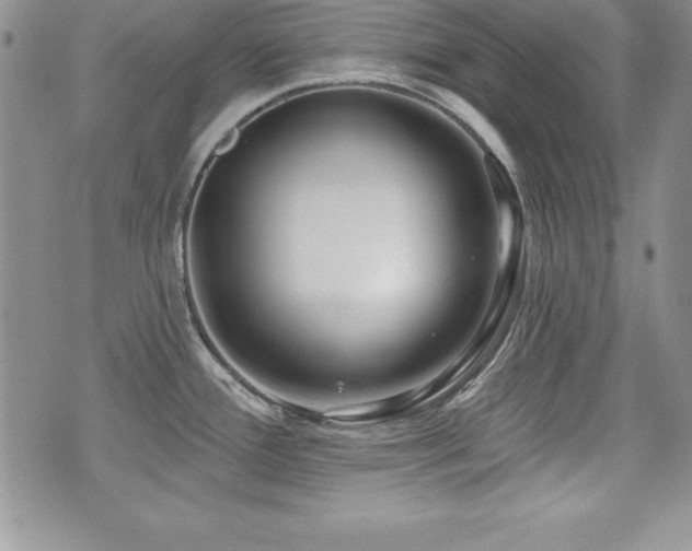 X0000073911388200608111146