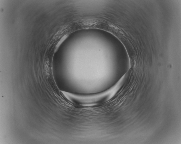 X0000073911394200608111146