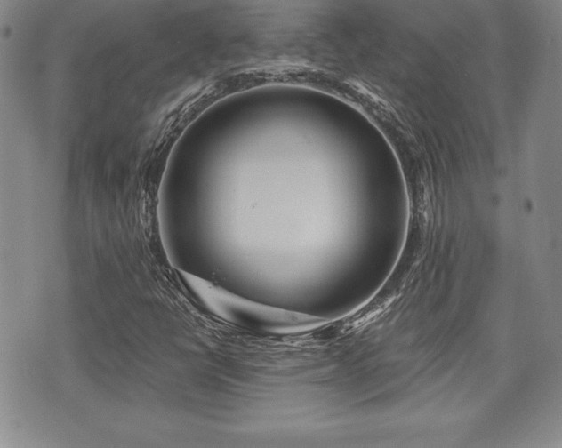 X0000073911398200608111146