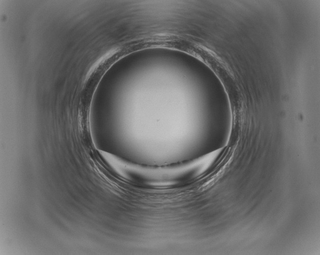 X0000073911402200608111146