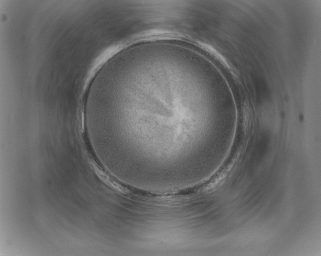 X0000073911413200608111146
