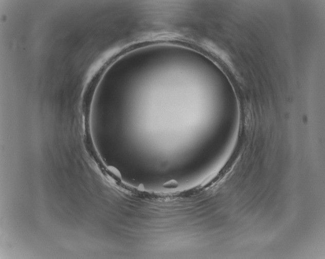 X0000073911414200608111146